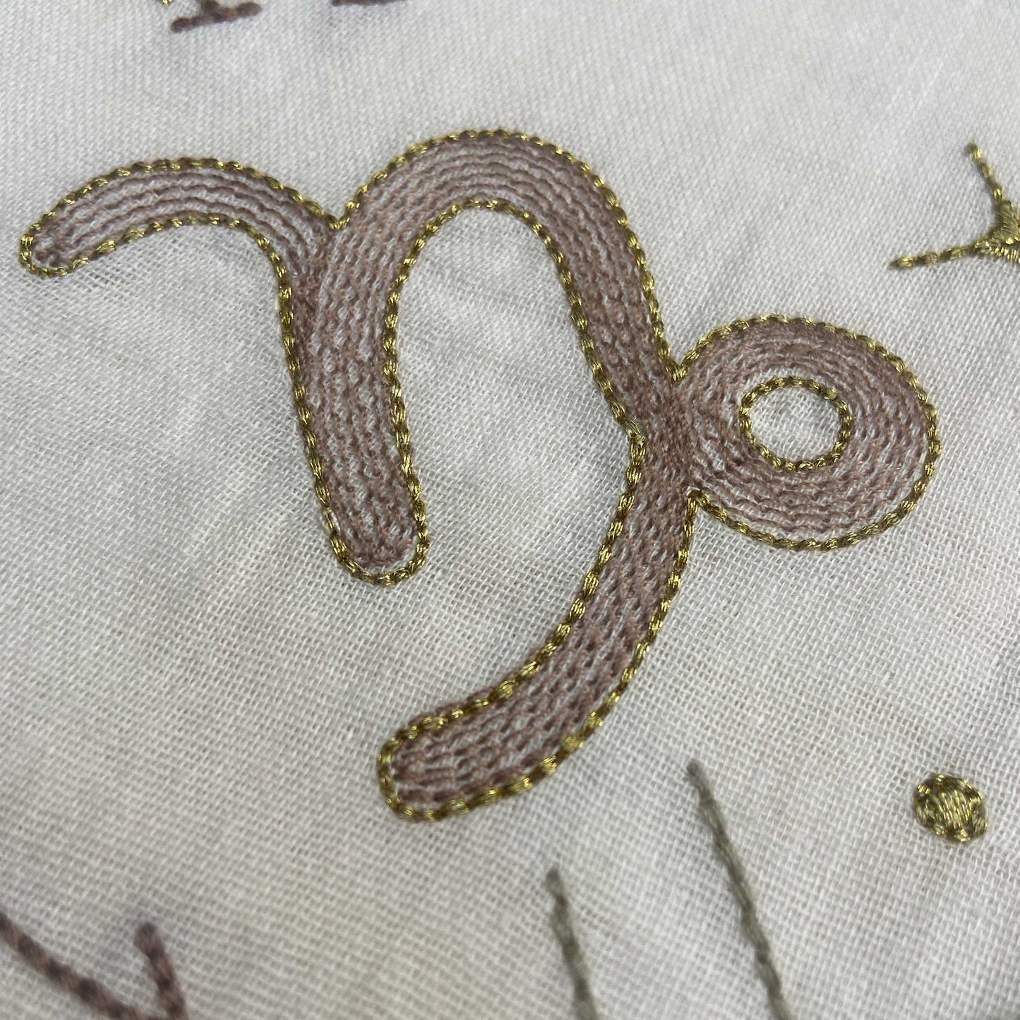 CAPRICORN DEC22-JAM 19